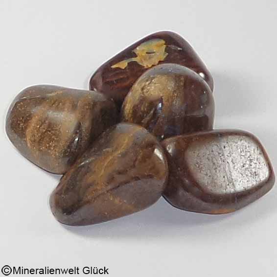 Chrysoberyll Katzenauge Trommelsteine (S) - Edelsteine kaufen