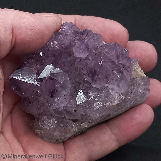 Amethyst Rohkristall (132), Edelsteine, Mineralien