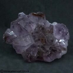 Amethyst Rohkristall (150), Edelsteine, Heilsteine, Mineralien